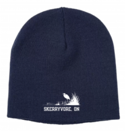 Winter Toque